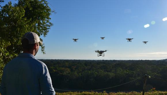 Con drones y smartphones monitorean más de tres millones de bosques amazónicos (Foto difusión).