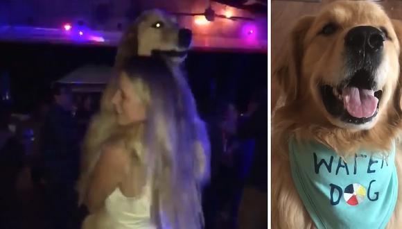 Tierno perrito sale de juerga y baila junto a su dueña (VIDEO) 