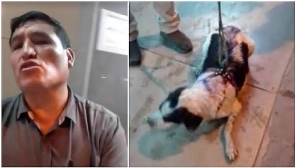 Los Olivos: denuncian a sujeto de haber rociado lejía a perrito (VIDEO)
