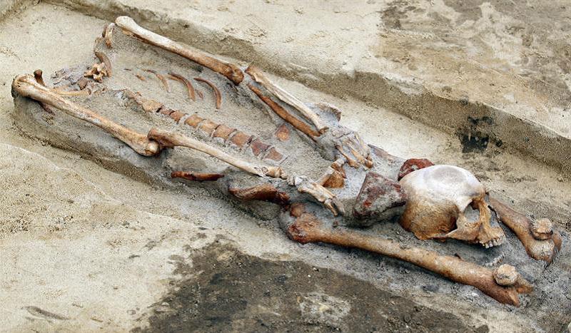 Polonia: Hallan restos de supuestos vampiros