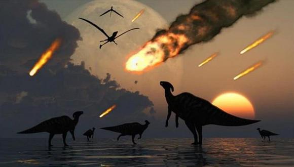 ​Los mamíferos se volvieron diurnos tras la extinción de los dinosaurios