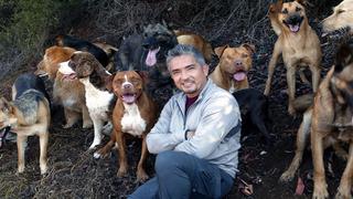 César Millán: El 'Encantador de Perros' es investigado por maltrato animal