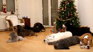 YouTube: perritos adornan arbolito de Navidad mientras sus amos los dejan en casa 