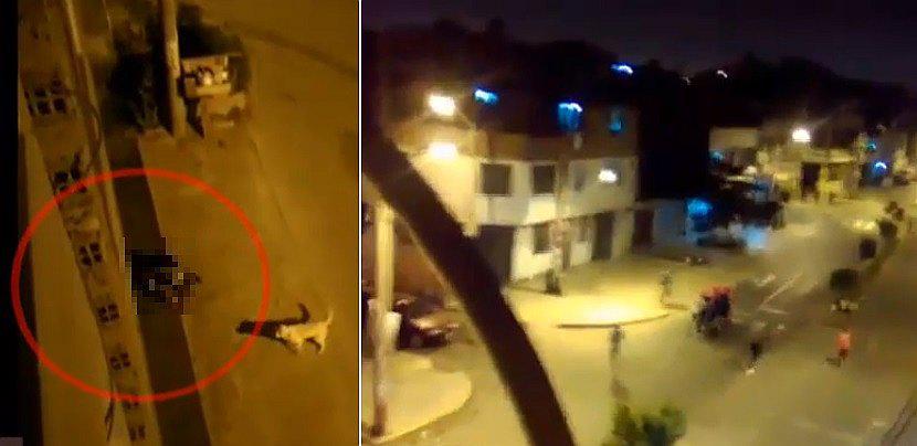 Enfrentamiento de barristas deja a un joven muerto en SMP (FOTOS)