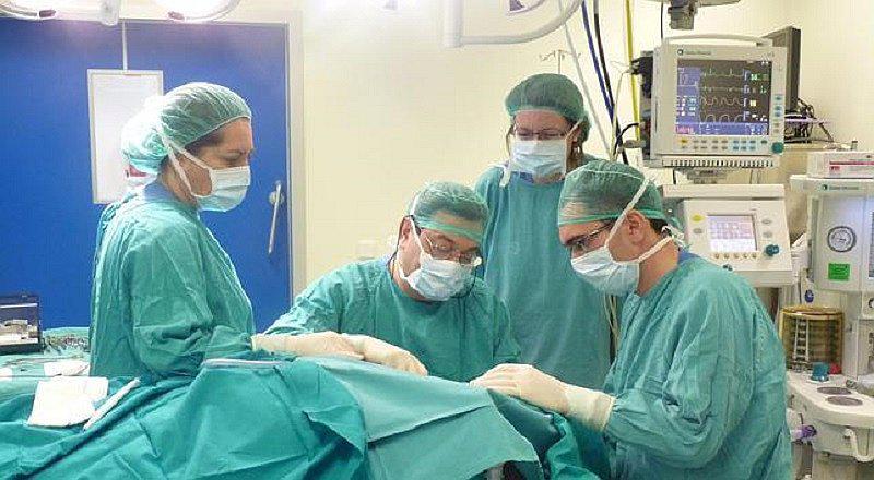 Médicos logran con éxito el primer trasplante de cabeza humana 