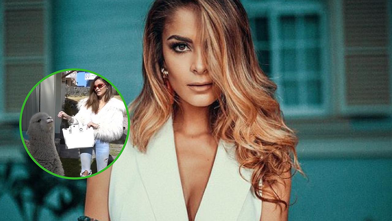 Laura Spoya pasa bochornoso incidente y es "bautizada" por alpaca (VIDEO)