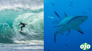 Surfista muere por ataque de tiburón: no resistió mordedura en el muslo