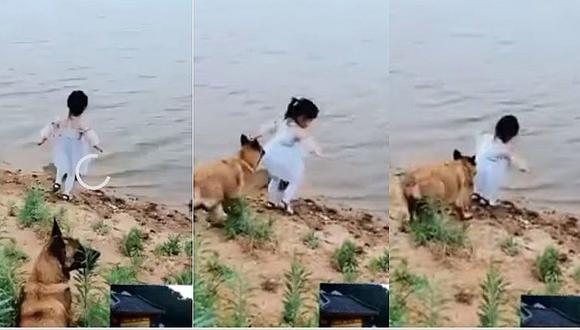 ​Perro salva a niña y evita así que ella caiga al agua y se ahogue │ VIDEO