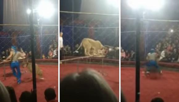 Niña disfrutaba del show en un circo cuando una leona la ataca (VIDEO)