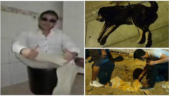 SMP: hombre mata a cuchilladas a perrito por absurda razón (VIDEO)