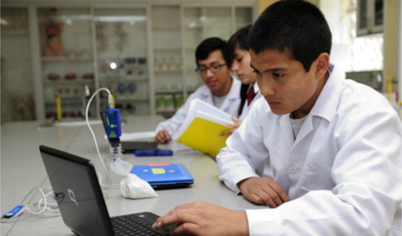 ¿Qué estudiaron los jóvenes que ejercen su profesión en el Perú?