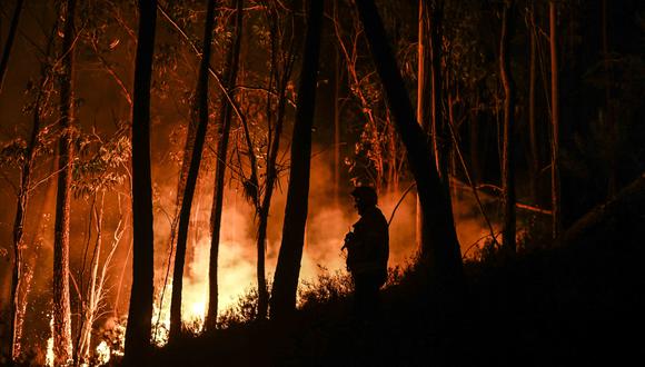 Se muestra la silueta de un bombero de pie en el bosque durante un incendio forestal en Casais do Vento en Alvaiazere el 10 de julio de 2022.  (Foto por PATRICIA DE MELO MOREIRA / AFP)