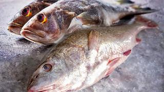 Comer para vivir: Cuidados para congelar y descongelar el pescado