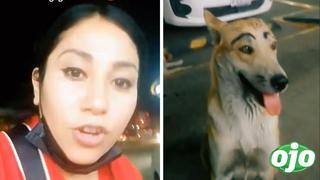 Mujer denuncia maltrato a un perrito de la calle que utilizaron para burlarse