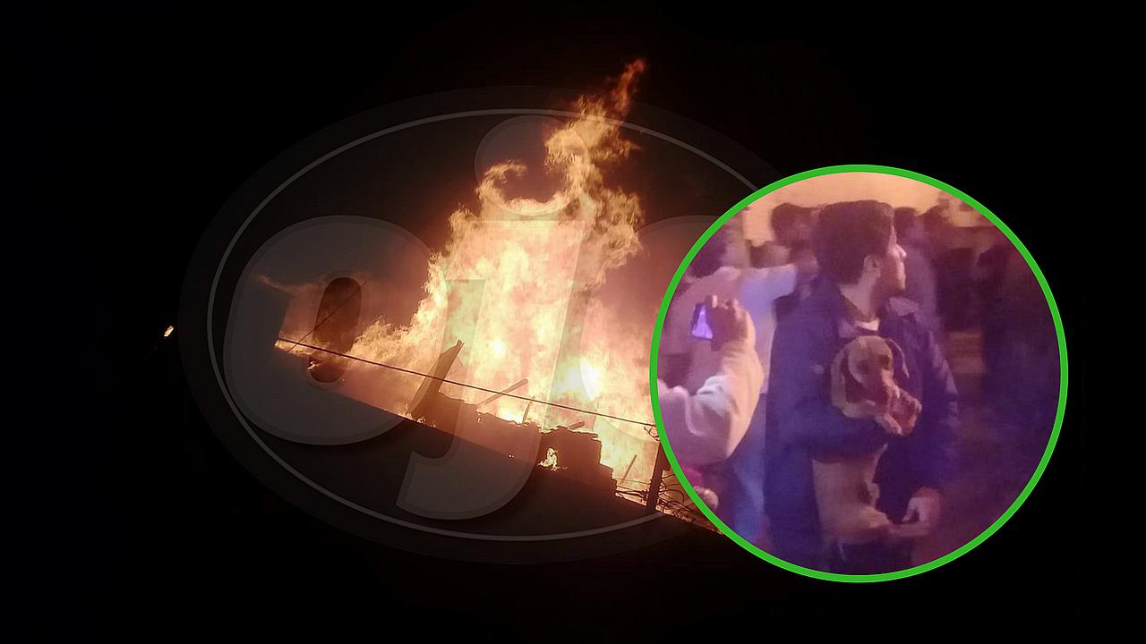 Reportan 6 perritos atrapados dentro de feroz incendio en depósito clandestino de Trujillo (FOTO)