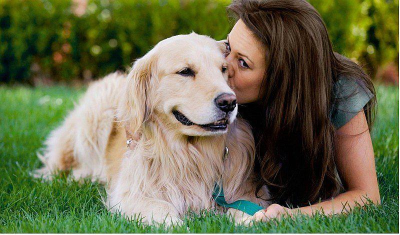 ¿Será cierto? Estudio afirma que los perros no sienten amor