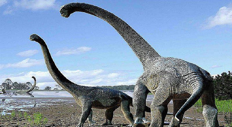 ¡Increíble! Huesos de dinosaurios eran molidos para darlos como comida 