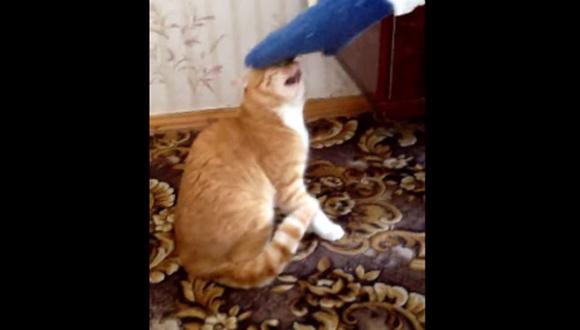 YouTube: Conoce al gato más vengativo del mundo [VIDEO] 