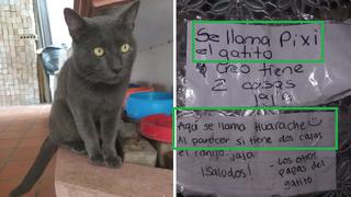 Facebook: Gato tenía ‘doble vida’ hasta que fue descubierto por sus dos dueños 