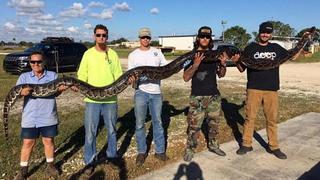 ​Tremenda serpiente de 5,4 metros de largo mete miedo a pobladores