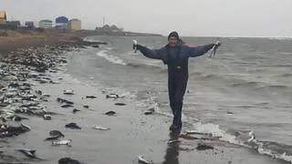 Rusia: olas expulsan cientos de peces en la isla de Sajalín y los habitantes los ‘pescan’ con las manos