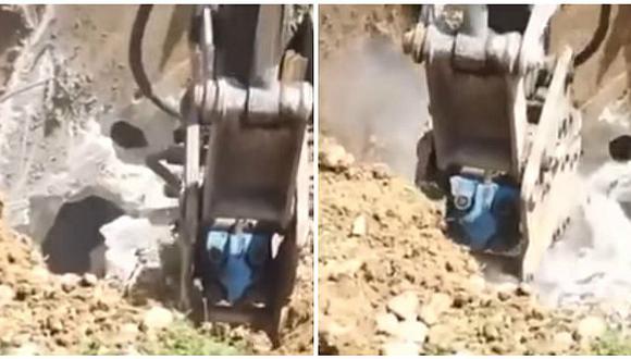 YouTube: obreros realizan excavación pero terminan hallando a este ser (VIDEO)