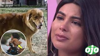 Acusan a Ivana Yturbe de abandonar a perrito y ella se defiende: “en mi edificio no me permiten tener mascota”