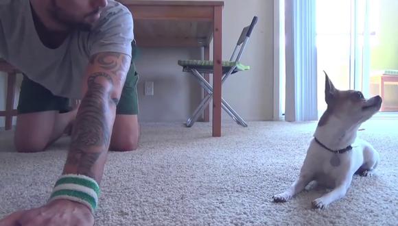 Un adorable perro chihuahua enseñó que cualquier pretexto es bueno para comenzar a ejercitarse con sus videos de yoga. | Crédito: @nic_bello / Instagram.