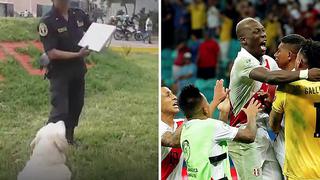 Perro policía "pronostica" triunfo de Perú frente a Chile en la Copa América | VIDEO