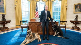 Joe Biden introduce a perro pastor alemán a su familia y lo lleva a vivir a la Casa Blanca | VIDEO