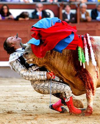 Espeluznante cornada a torero español 