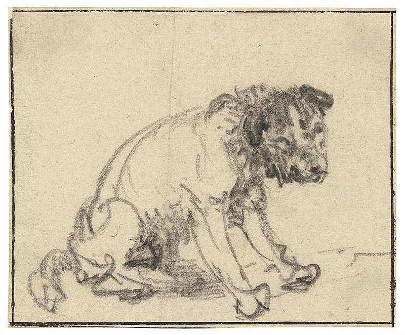 Rembrandt: museo descubre perro sentado dibujado por gran pintor holandés 