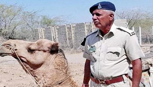 Tristeza embarga a camello tras muerte de su cuidador: se niega a comer y beber