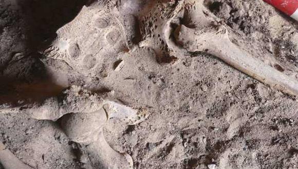 Descubren el caso más antiguo de cáncer de pecho y es de la época de los faraones