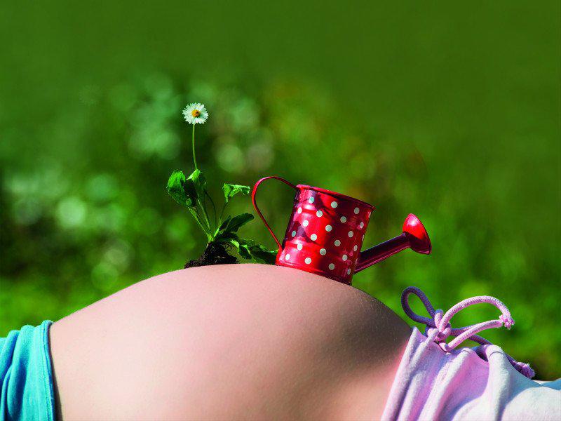 Lo que debes hacer para quedar encinta