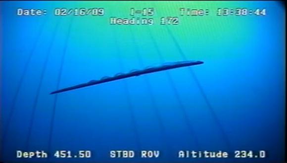 Filman pez gigante en Golfo de México [VIDEO]