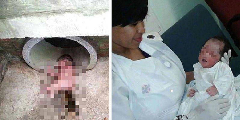 ​Hallan a bebé recién nacida en un desagüe lleno de hormigas y sobrevive (FOTOS)