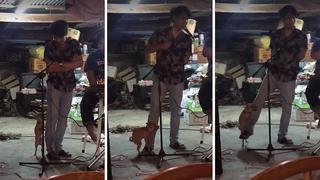 Perrito "emocionado" impide que vocalista cante con normalidad (VIDEO)