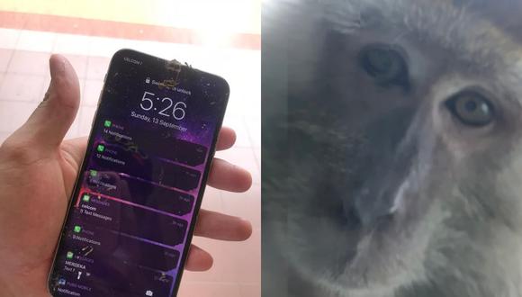 Un joven en Malasia descubrió que un mono robó su teléfono mientras dormía y se había tomado varias fotos y videos con él durante el tiempo que lo tuvo en su poder. | Crédito: @Zackrydz / Twitter.