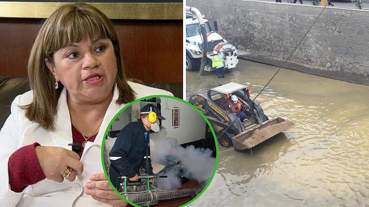 Ministra de Salud afirma que fumigarán la zona afecta en SJL luego de la limpieza 