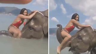 Quiso tomarse foto con un elefante, pero todo terminó mal (VIDEO)