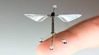 ​Diseñan pequeño robot “espía” inspirado en insecto volador