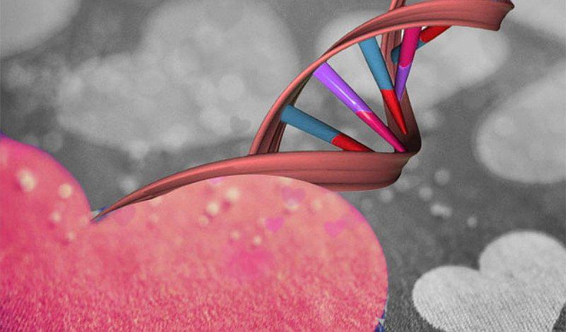 Aplicación utiliza tu ADN para encontrar a tu alma gemela  