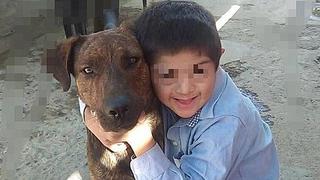 Perro guía de niño con síndrome de down muere envenenado