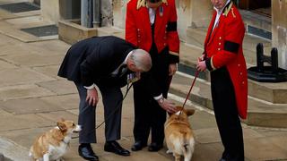 ¡Qué tiernos!: Cachorritos reales dieron último adiós a la reina Isabel II