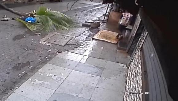 YouTube: ¡Fuertes imágenes! Cae árbol y mata a conductora de TV (VIDEO)