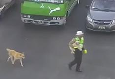 Policía para el tránsito para ayudar a perrito | VIDEO