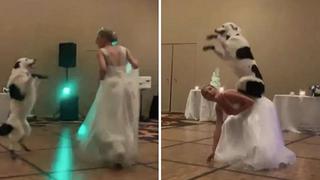 Novia y su perro hacen extaordinario baile durante fiesta de matrimonio | VIDEO