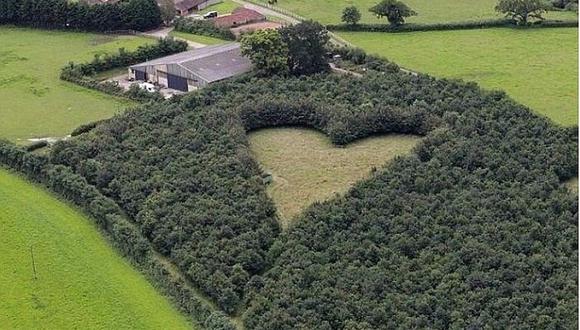 ¿Serías capaz de hacer un bosque en forma de corazón para la persona que amas?