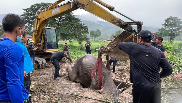Elefante adulto siendo sacado de un agujero, durante una operación de rescate para recuperar a un elefante bebé que había caído en el agujero, en Provincia de Nakhon Nayok en el centro de Tailandia. (Foto de Handout / Departamento de Parques Nacionales, Vida Silvestre y Conservación de Plantas de Tailandia (DNP) / AFP)